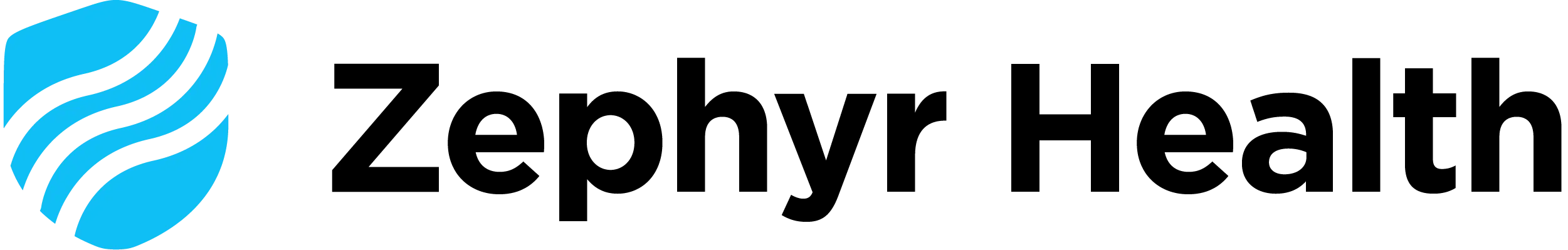 Zephyr Health Logo Image